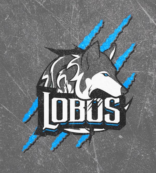 Lobos Santa Fe — Identidad de marca completa